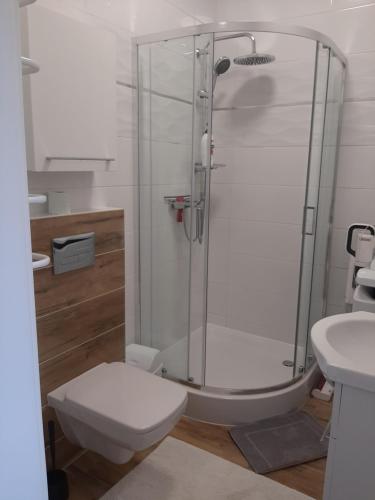 Kameralny Apartament w Centrum in Szczytno