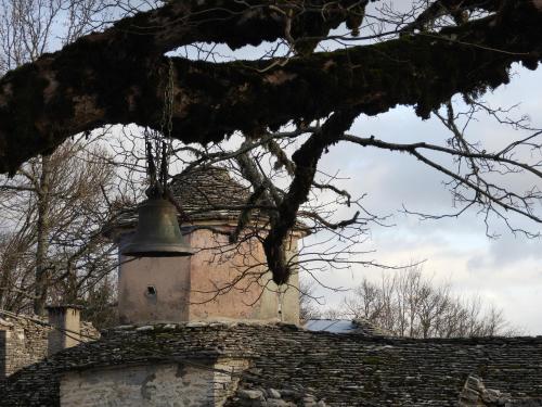  Konstantinou & Elenis in Monodendri