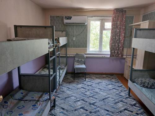 Umid Hostel in Termiz