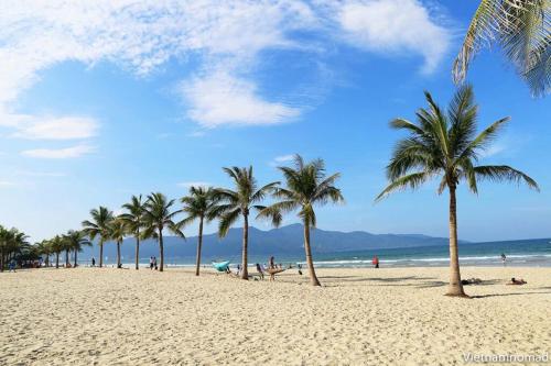 The Coastel Hotel & Apartment in An Hai Bac