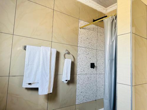 Shower, Mvula Zehlobo Apartments in Mpolonjeni