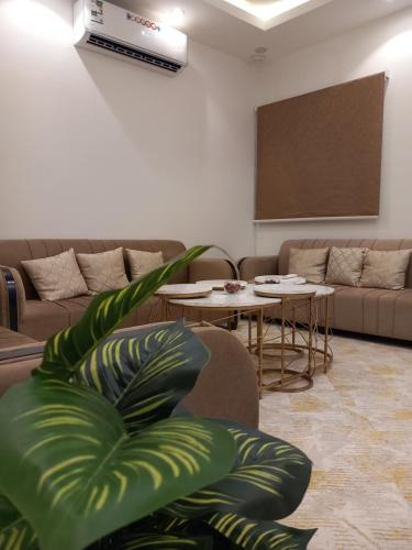 شقق رومكس العلا Rumex alula apartments