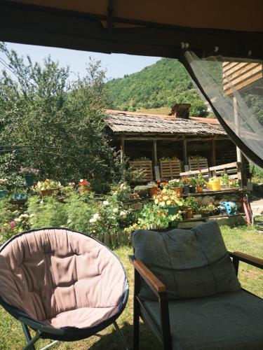 sweet house in Zardlashi in Chvabiani