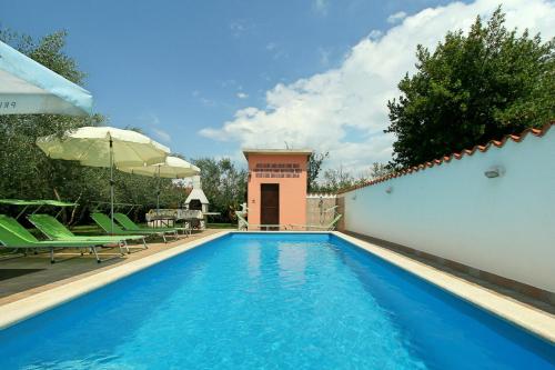 Guest House Tea - image 13