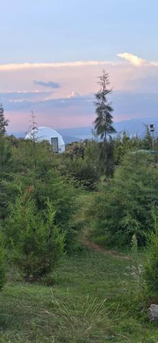 Geo-dome glamping with lake view