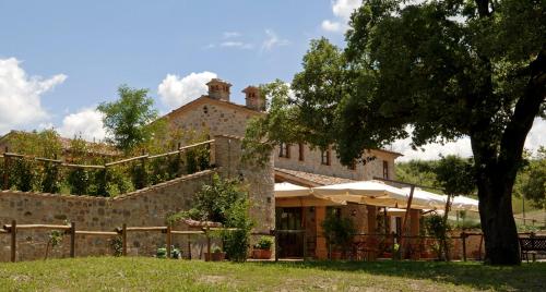 Il Felcino - image 13
