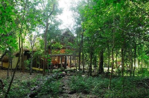 Hotel Puerta Calakmul in Conhuas