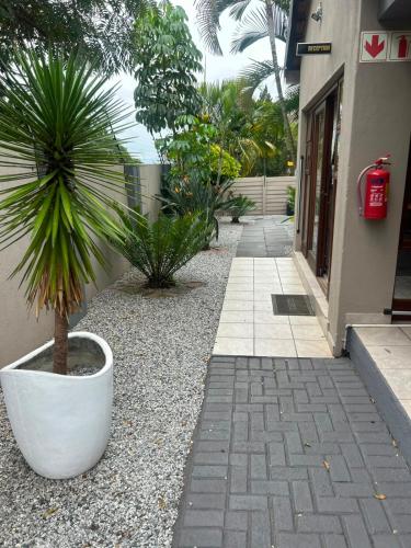 BoniM Guesthouse - aka Magisha Guesthouse, Maputo