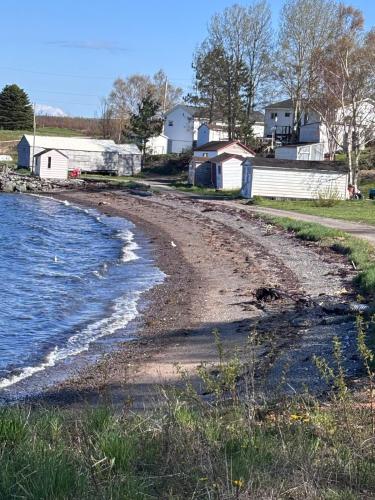 Charlottetown Salt Water Joy in Sandringham (NL)