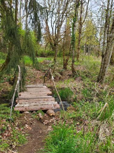 Ümbrus, Zome Away From Home - Ultimate Off Grid Relaxation in Molalla (OR)