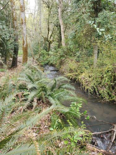 Ümbrus, Zome Away From Home - Ultimate Off Grid Relaxation in Molalla (OR)