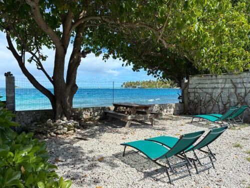 Faré Pépénai - photo 4 - Rangiroa, Polynésie