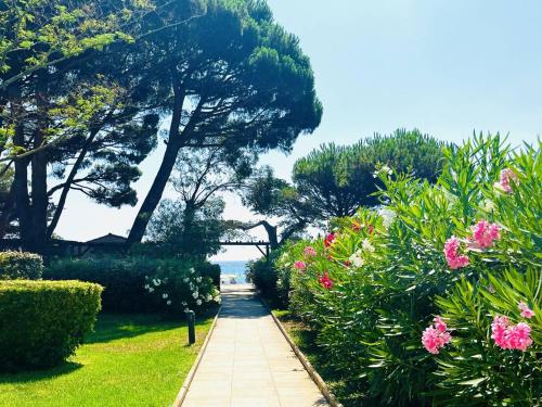 Studio, accès plage direct - 4 pers. - FR-1-251-957