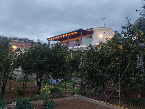 Laertis house - Vlora