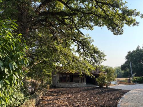 Vista exterior, Domaine La Bellevue - Le Petit Nid Charme & Nature in Esclottes