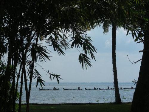 Vembanad House Boutique Back Water Retreat photo