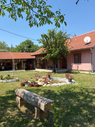 Vila Vida, Kruševac