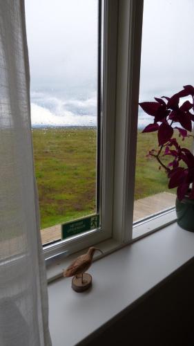 Söruhús - Cozy Apartment, Hot Tub, Peaceful Nature Setting (Soruhus - Cozy Apartment, Hot Tub, Peaceful Nature Setting) in Skeiðahreppur