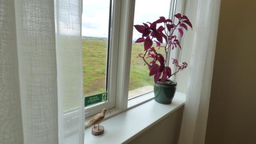 Söruhús - Cozy Apartment, Hot Tub, Peaceful Nature Setting (Soruhus - Cozy Apartment, Hot Tub, Peaceful Nature Setting) in Skeiðahreppur