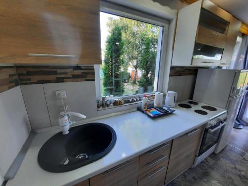 Mountain House Brutusi 18 in Trnovo