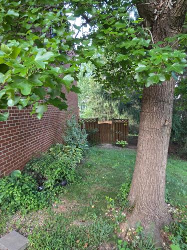 Bejárat, MALE Only Shared Basement in Frederick (Maryland)