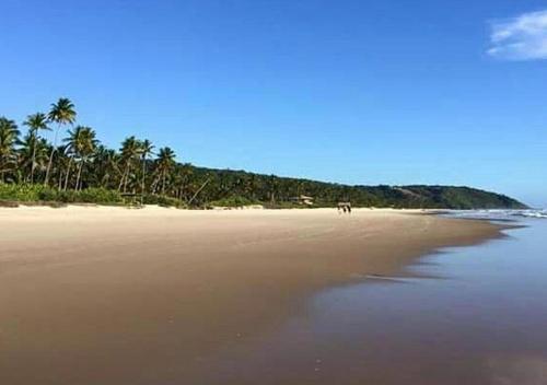 rand, Suíte com Vista pra Mata, 50m da Praia do Sargi (Suite com Vista pra Mata, 50m da Praia do Sargi) in Uruçuca