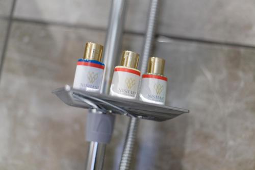 Nishant Hotel - image 12