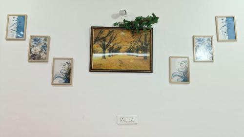 Divya Sadan Homestay - image 4