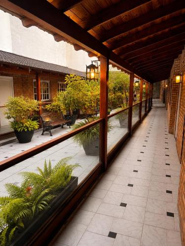 Garden, Hotel Centuria Obelisco in Buenos Aires