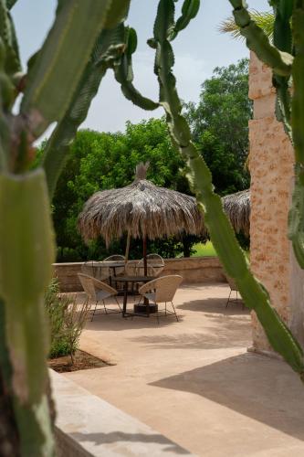 South Lodge by Little Cactus - Adult Only 3