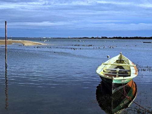 T3 spacieux Arcachon sur jardin, proche du port et de la plage