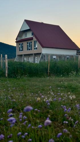 A&A Durmitor Apartments