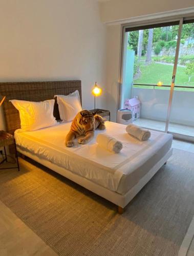 Studio in Cannes in private residence with pool