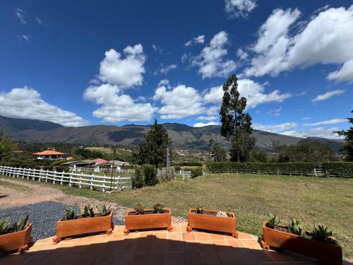 Casa Olivo - image 3