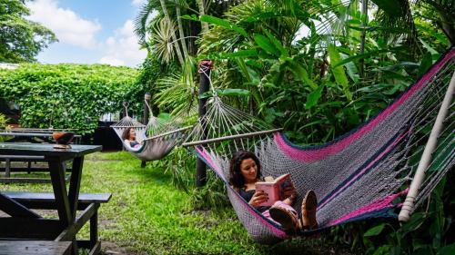 حديقة, Costa Rica Backpackers in سان خوسيه