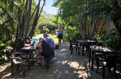 حديقة, Costa Rica Backpackers in سان خوسيه