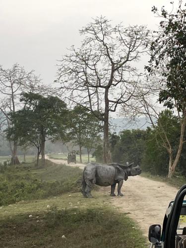 Triptire Resort Kaziranga in Jakhalabandha