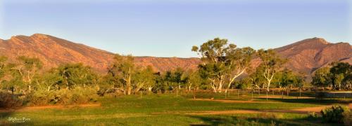 . Edeowie Station