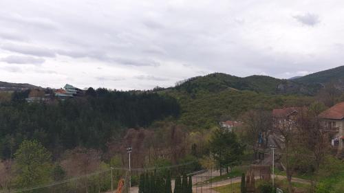 Apt Moravica - image 4