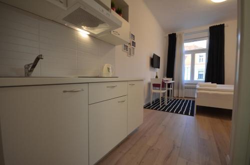 Downtown Luxury Apartment 2