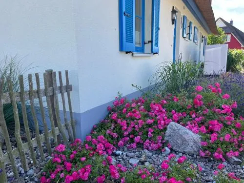 Ferienhäuser Luv und Lee OVS 106 Neu 20 in Zierow, Deutschland