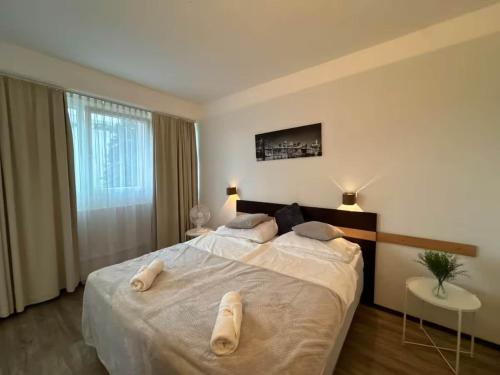 Aerwyn apartment