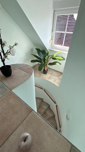 Apartment Grieshop 2 in Dinklage