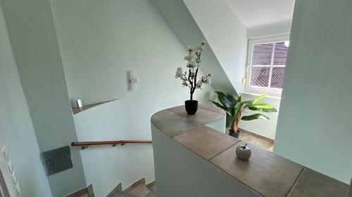 Apartment Grieshop 2 in Dinklage