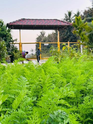 Chikkamagalur Stay