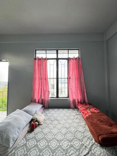 Eli's backpackers Hostel photo 4