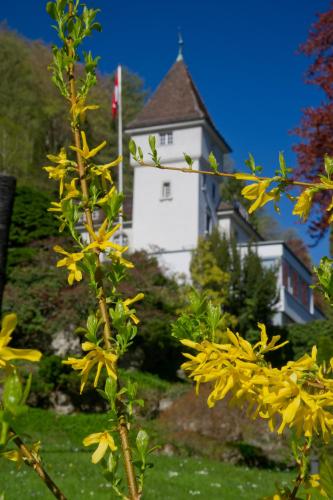 Hotel Schloss Ragaz