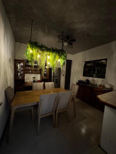 Airport Traveler's home. in Tropicana