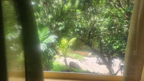 Surrounding environment, River Splash Cottage at Concord-Dominica in Atkinson