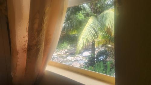 Surrounding environment, River Splash Cottage at Concord-Dominica in Atkinson